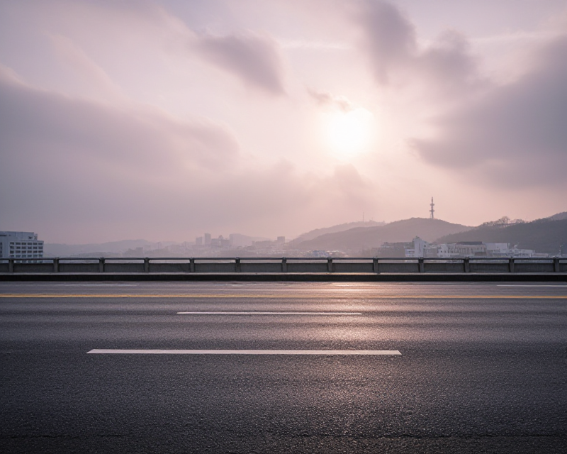 Cloudy Morning in Seoul
